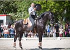 Pferd International 199